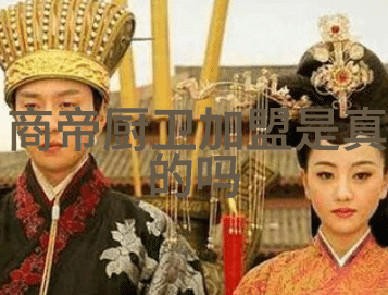 小型洗衣机的大冒险从单身生活到家庭主妇的逆袭