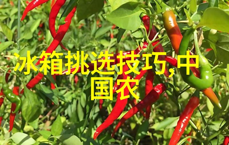 空调不制冷故障排除技巧夏季必备的维修指南