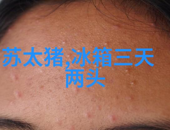 空调的分类从窗型到分体式了解不同类型的特点与适用场合