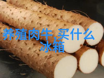 夏日清凉揭秘冰箱档位调节的艺术找到夏天使用最佳档位