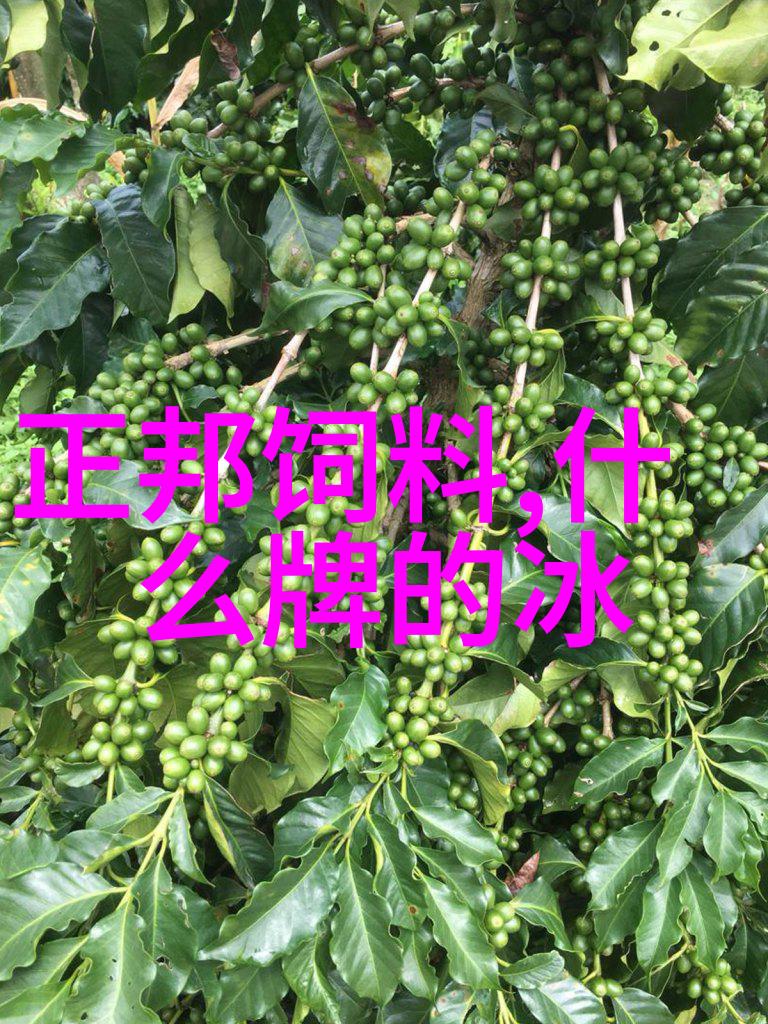 夏日冰箱调节艺术解锁最适合的冷藏档位