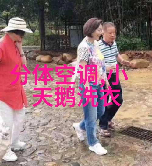 夏季冰箱使用技巧-夏日解冻揭秘1-7档冰箱调节的最佳档位选择