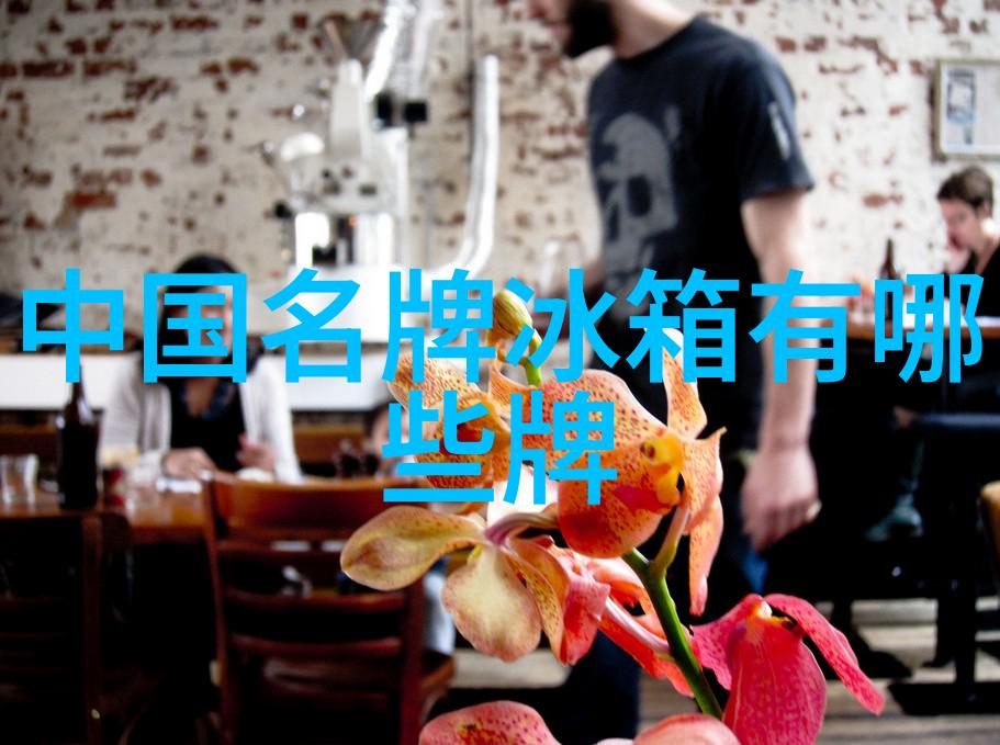 夏日冷藏宝典揭秘冰箱调档的艺术