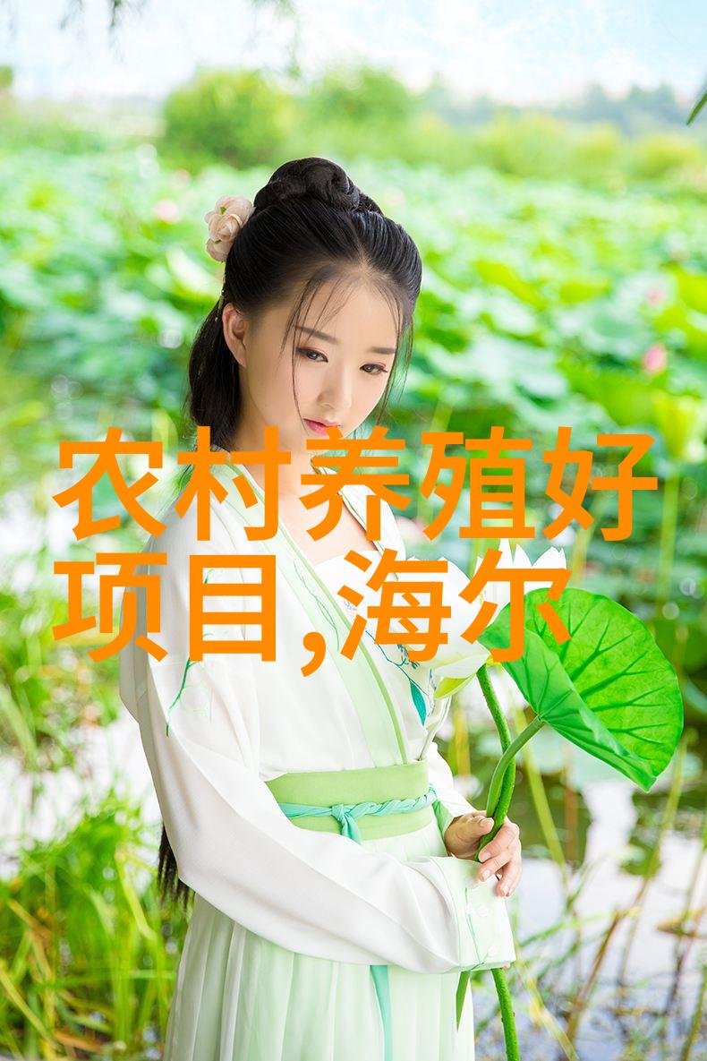 如何正确安装和使用家用冷风机