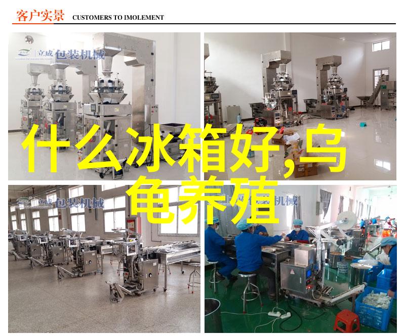 居家美学精巧空间的装饰艺术全解析