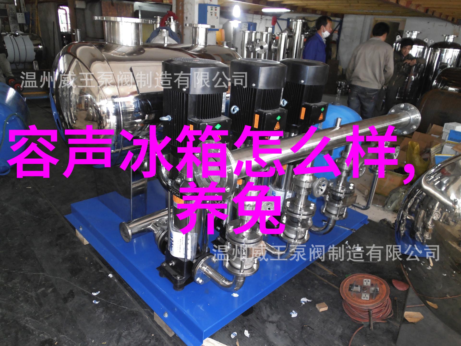 长明灯下的打滚英雄