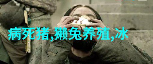 医院生物安全柜我的守护者