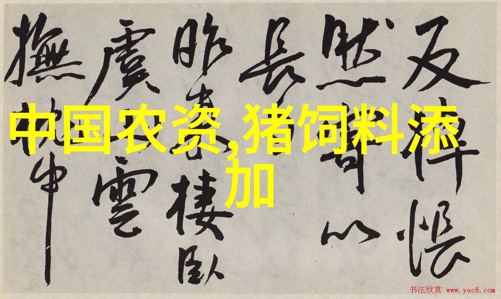 中国半导体企业-中国半导体产业的腾飞从依赖进口到自主创新