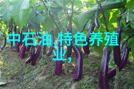 大型工业制冷设备厂家保温效率的专业选择者