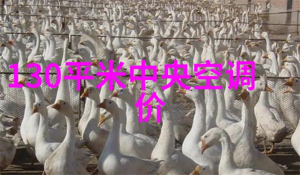 大型纯净水设备公司-超纯科技领航水质革命的先锋者