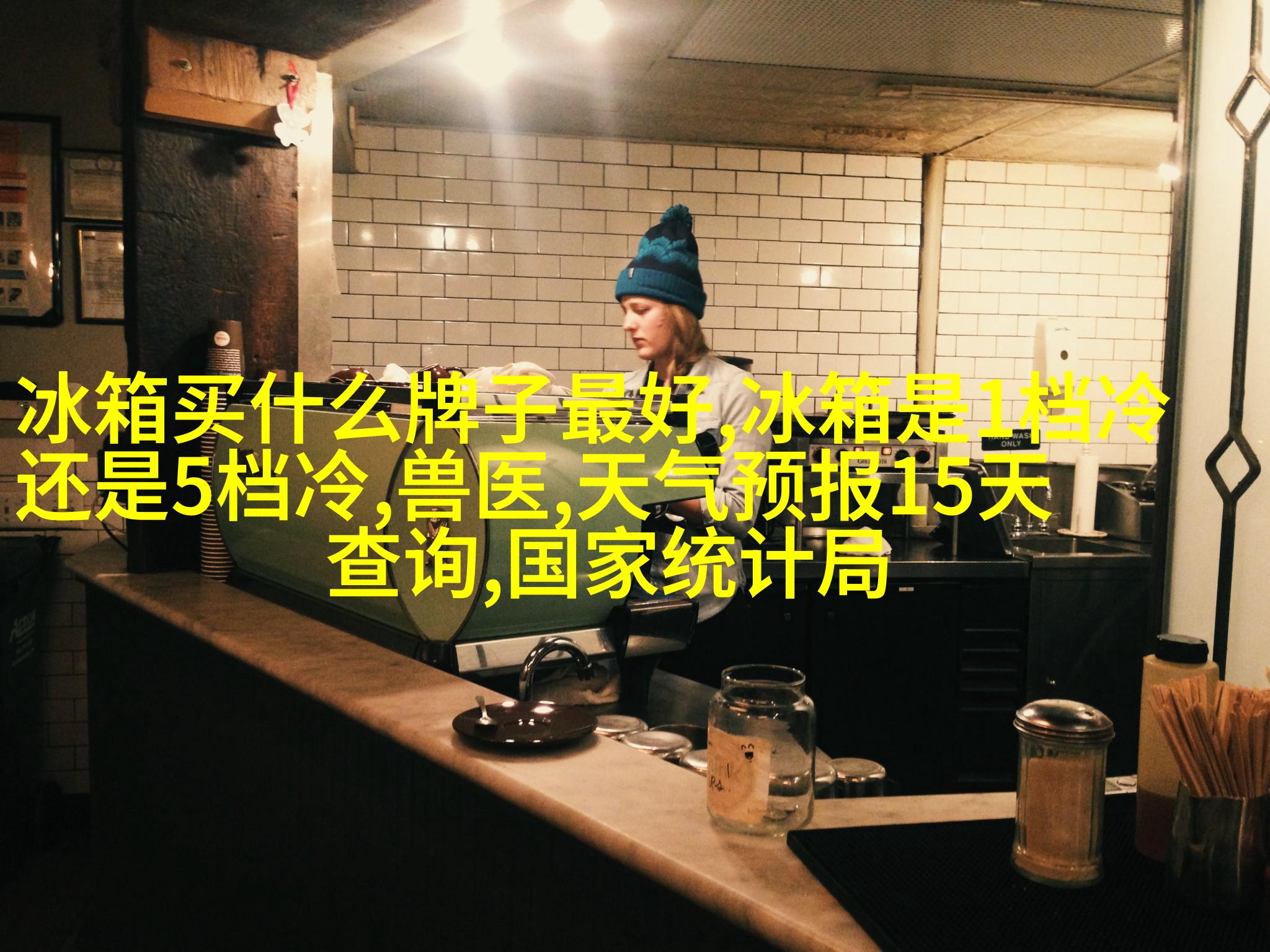 图解3: 寻找"温控"或"温度设定"