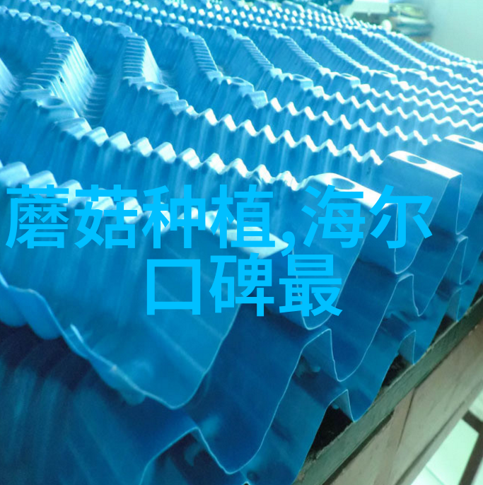 工业废墟中的生机勃勃探索附近pe管生产厂家的反差世界