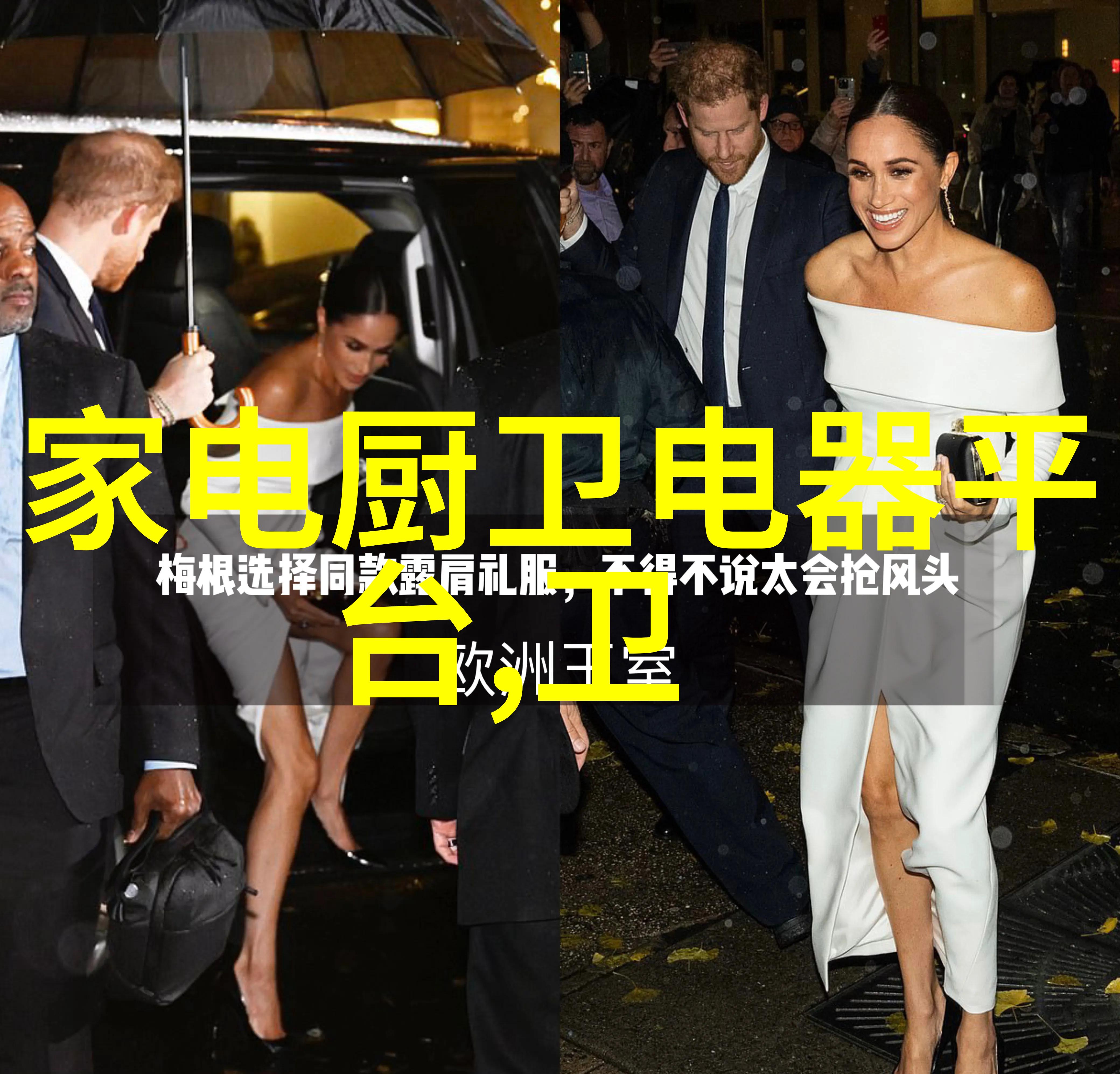 苏家有女两位继承人和两个隐藏的命运