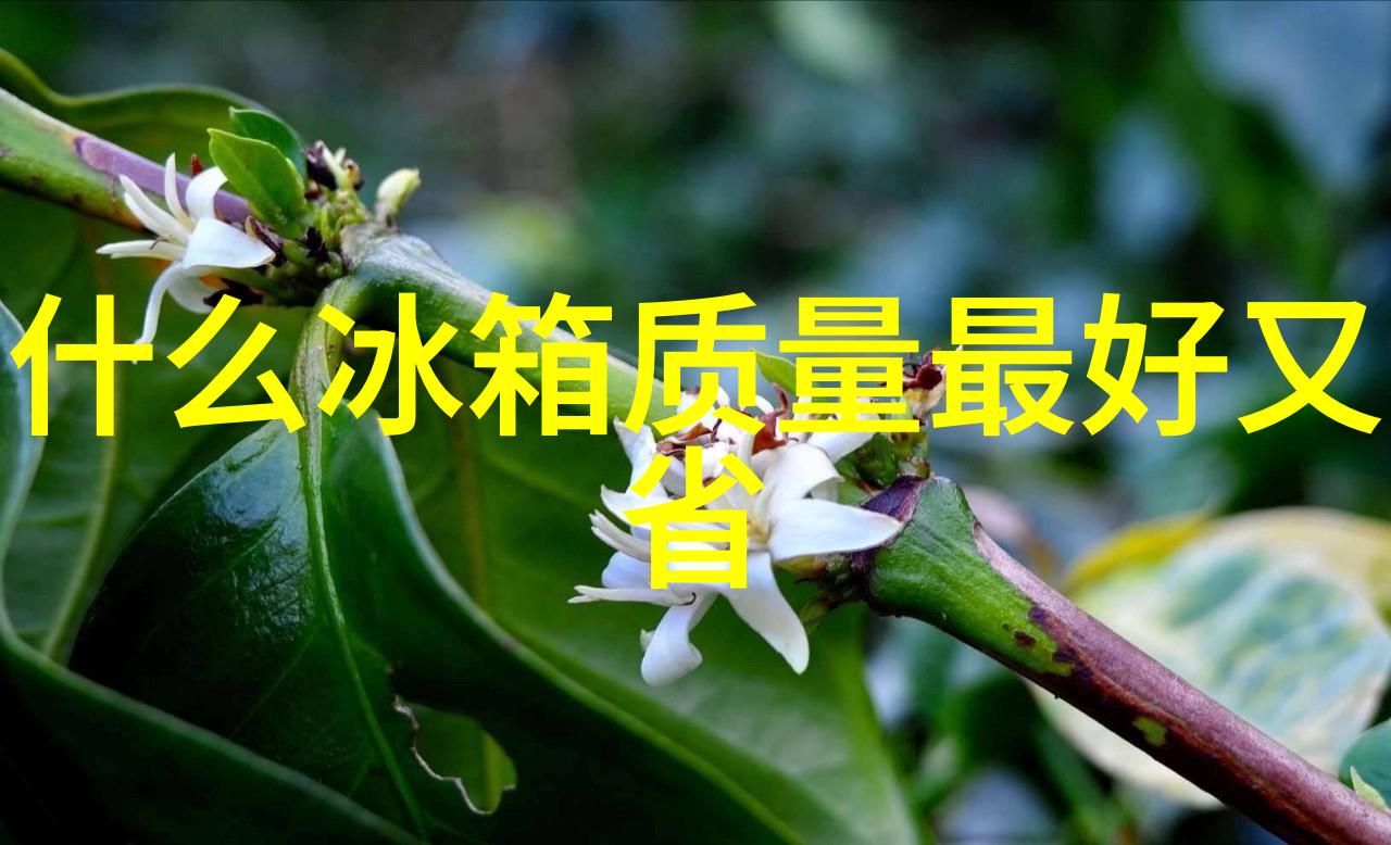 我来告诉你中国芯片发展现状我们走得怎么样