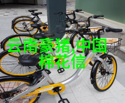 呼噜声里寻宝揭秘附近专业修空调的电话大冒险