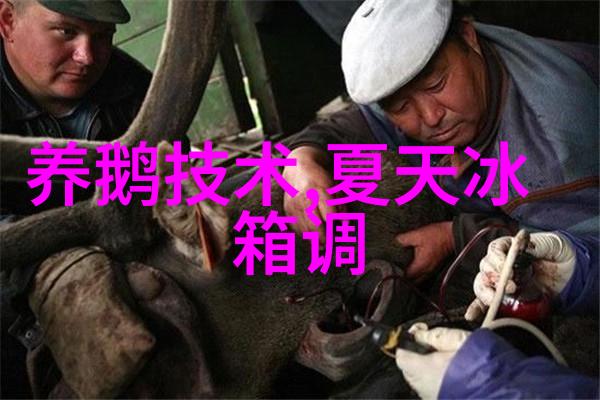 应用市场安卓版下载来点新鲜玩意儿