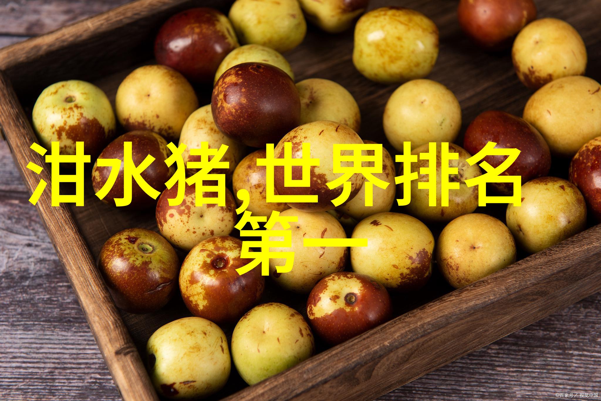 化学实验中的反应罐作用机制解析