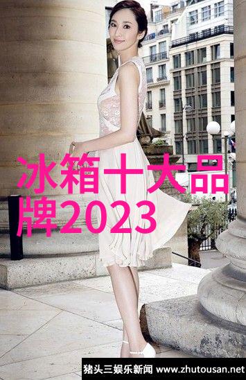 老式海尔冰箱温度控制图解详解