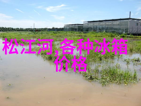 国产瑜伽白皙一区二区-探索国人瑜伽之美白皙肌肤的瑜伽艺术