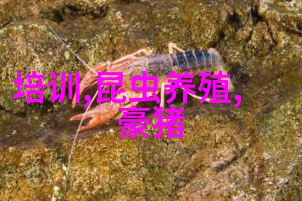 仟净去离子水-清新生活的源泉了解与应用去离子水的艺术