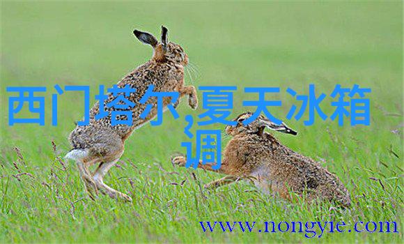 皖北煤电集团办公楼楼宇自控系统犹如心脏的总线协议跳动着智慧与效率的节奏