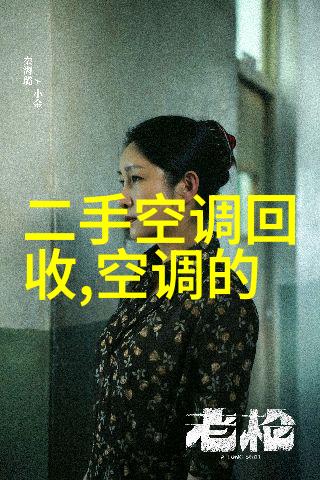 冷冻小冰柜 - 超低温储存冷冻小冰柜的科学与实用