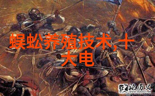 夏普洗衣机清洁的智慧与创新之选