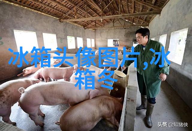 房子水电装修线路图之谜揭开隐藏在墙角的秘密