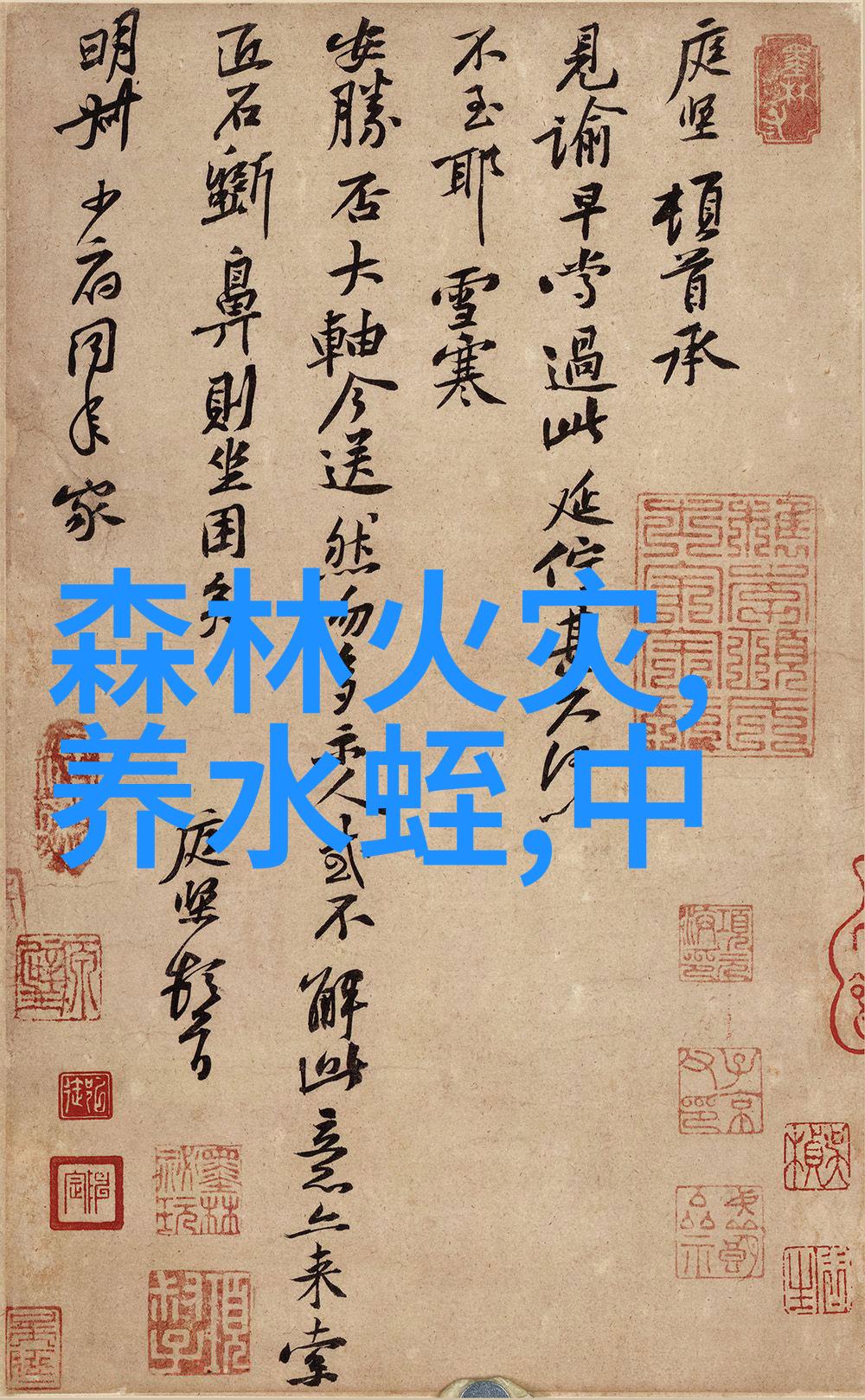如何将传统中式元素与现代生活理念巧妙融合以创造出别墅装修中的新中式风格