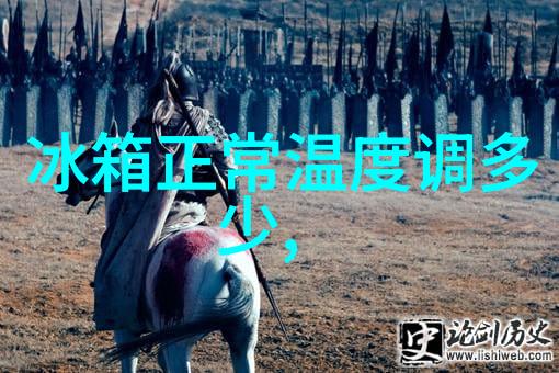 夏日冰箱调度解锁舒适的冷藏秘诀