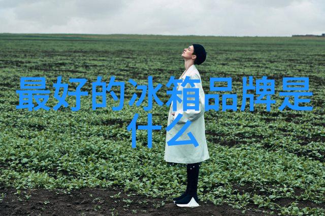 千元一米的秘密
