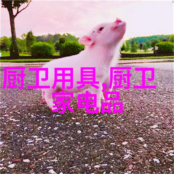 重逢之声你还活着呀