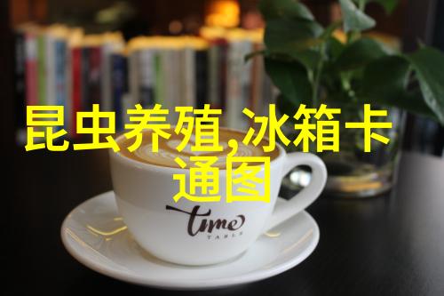 不锈钢波纹填料用途我的厨房变成了美食工厂