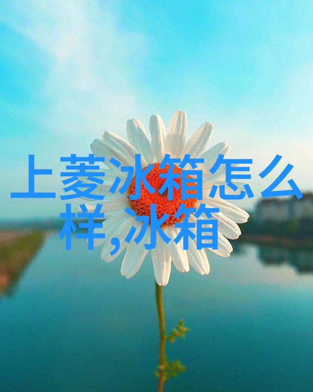 奥维云网我是怎么在家就能随时随地上网的