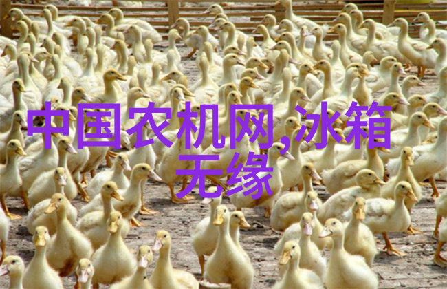 华为麒麟芯片新动态性能提升与国际合作的双重奏鸣
