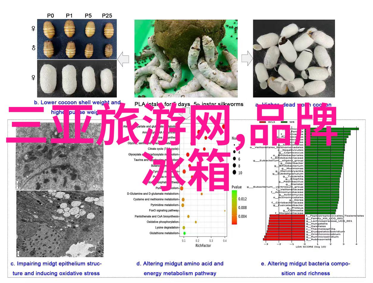 老式海尔冰箱温度调节机制解析与维护指南