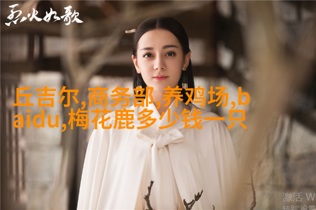 保险杠保护套