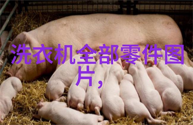 转变生活方式享受无缝连接的家居时尚厨卫同步改造指南