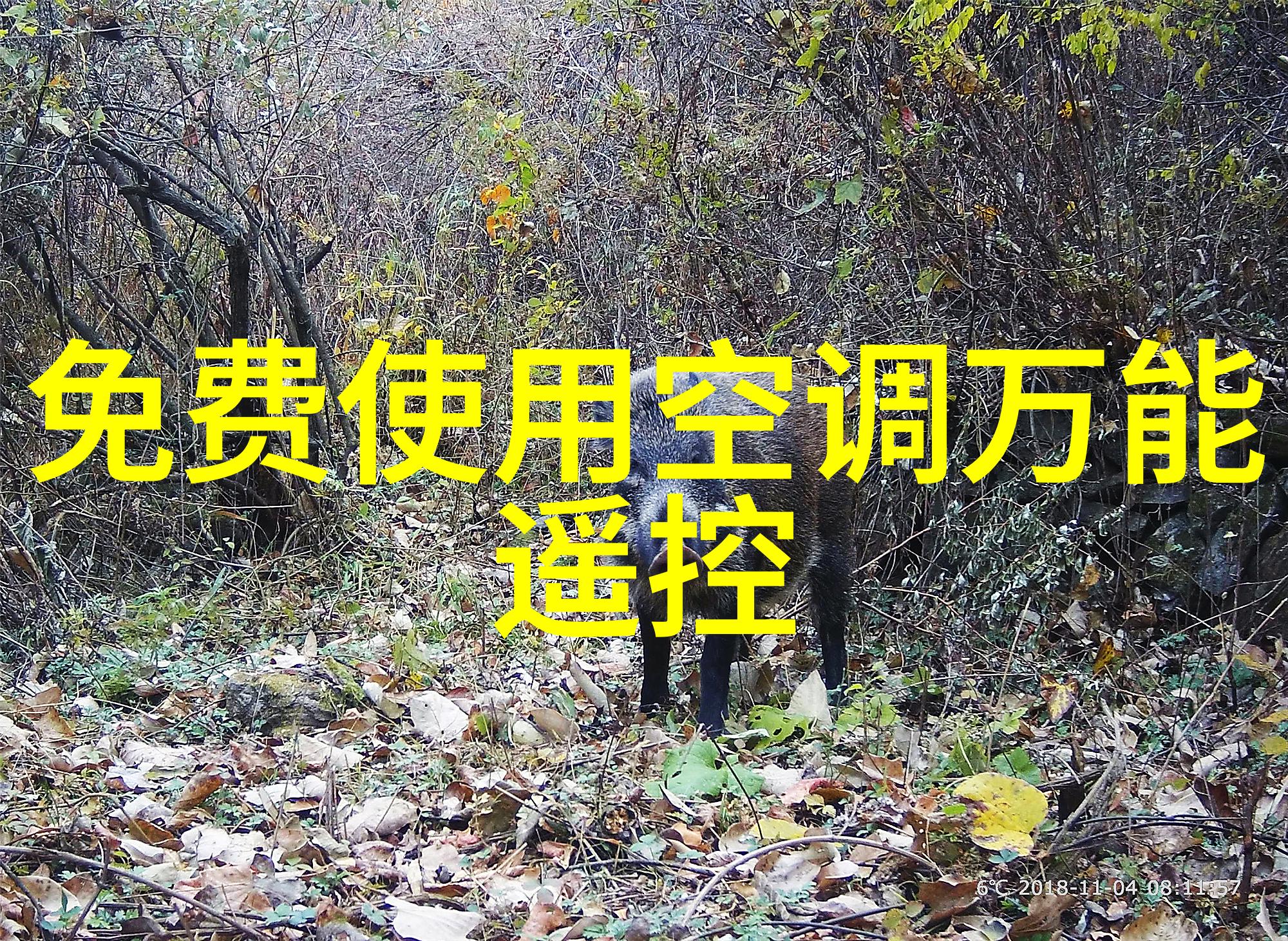 不锈钢反应釜产品性能我的实验室伙伴耐用安全省心