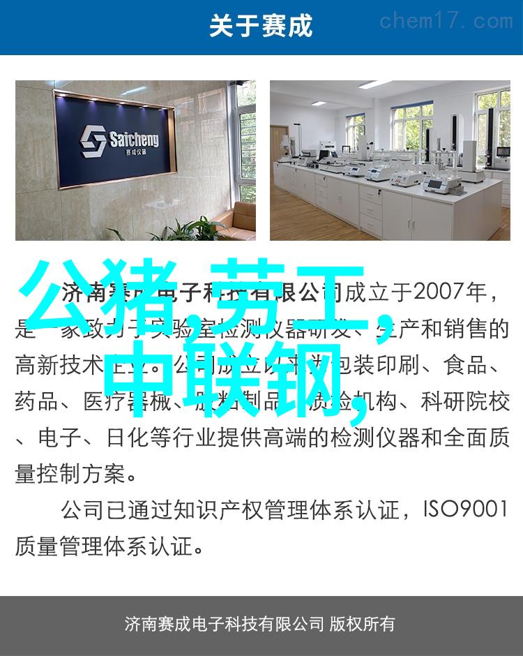 化学实验室中的反应釜图解揭秘实验操作的关键步骤