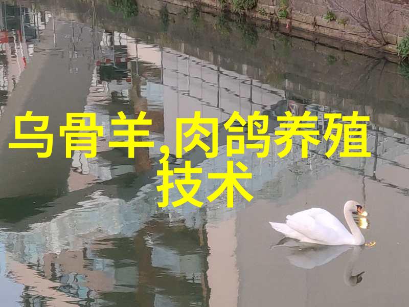 小额投资换大方效果如何通过精心规划实现高性价比的厨房设计