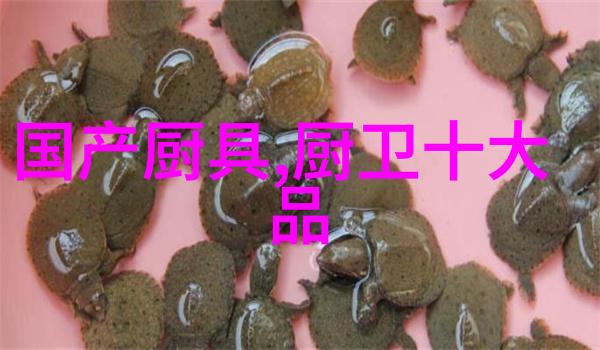 气冲星河中的宇宙探索与自我觉醒
