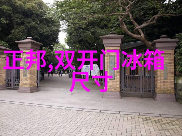 厨房设备图片大全揭秘那些隐藏在角落的烹饪神器