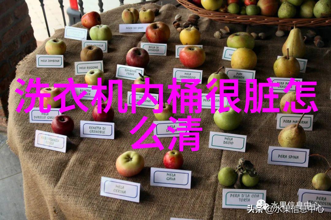 夏颜石磊穿越小说-时空纷争夏颜石磊的穿越之旅