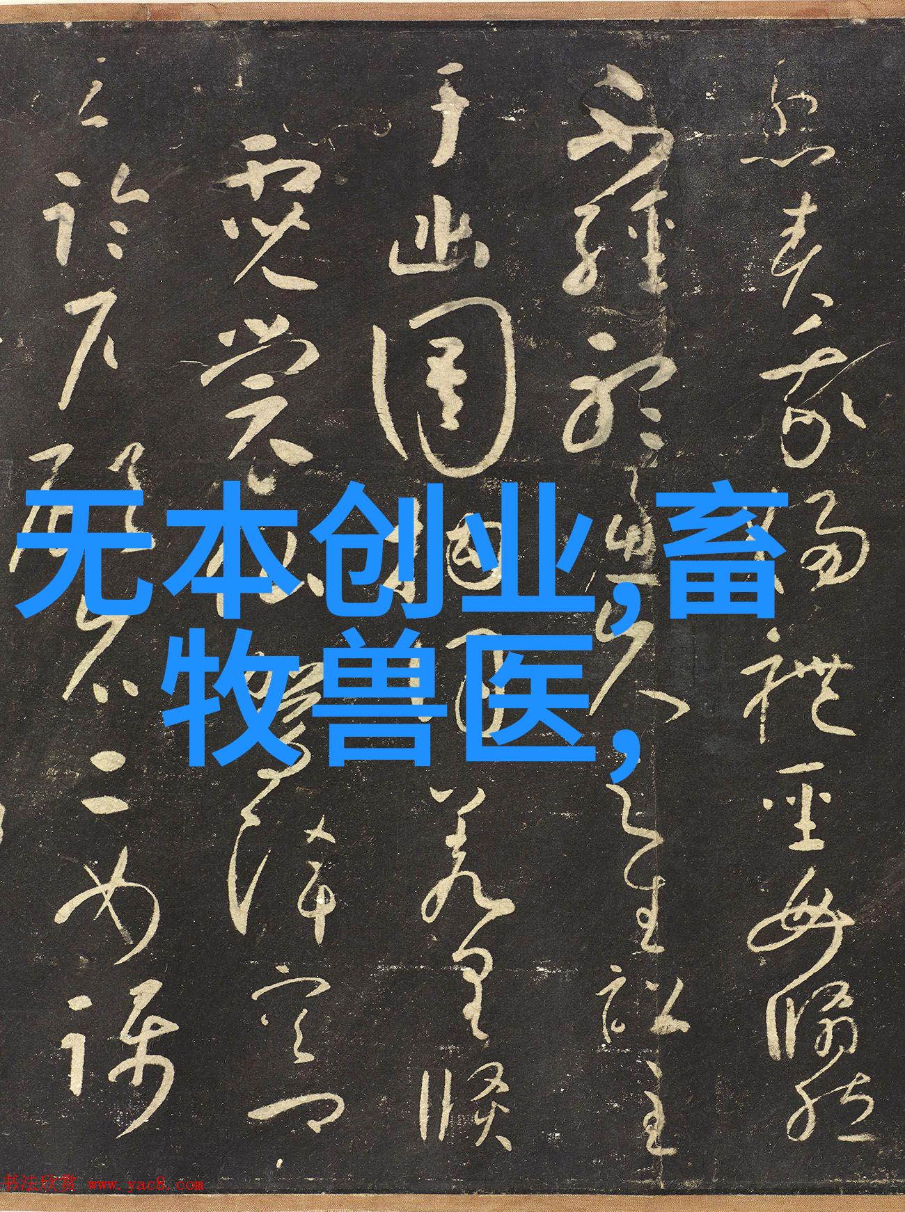在购买大量量的情况下是否能享受到更优惠的折扣和打八折政策具体情况是什么样的