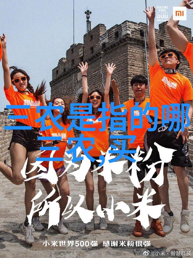 个人述职报告模板年度工作总结之旅