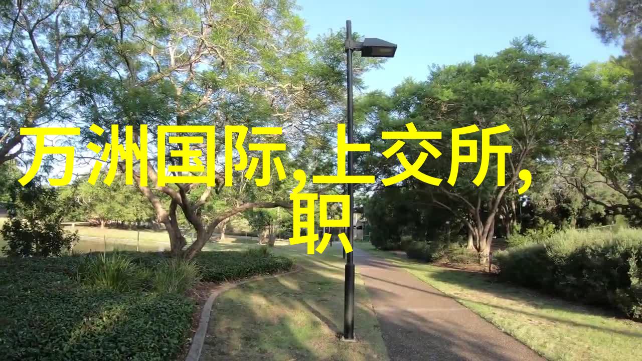 水槽里的浪漫厨房中最不起眼的爱情故事