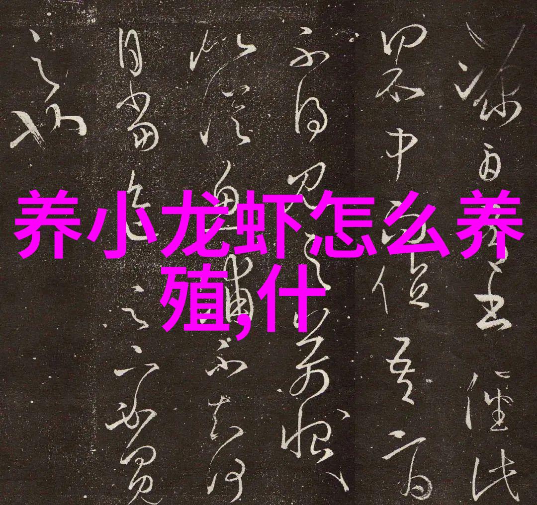厨卫都有什么东西我家里的厨房和卫生间都藏着这些小秘密