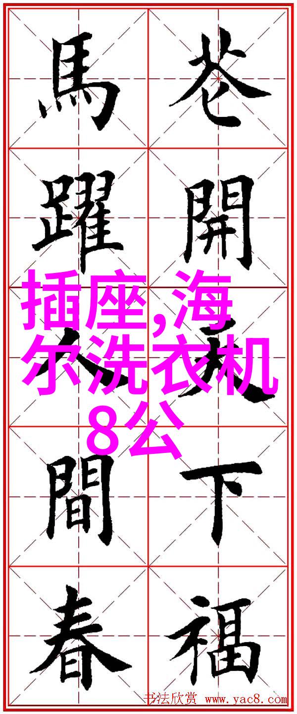 双门海尔冰箱售后服务好搭配空调如何节能减负