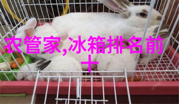 尘埃中的秘密喷雾降尘系统的未解之谜